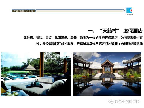 中國(guó)道源旅游度假小鎮(zhèn)項(xiàng)目策劃方案